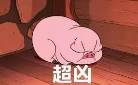 为什么生肖猪蛇猴最好,今年属虎猴蛇猪运势怎么样