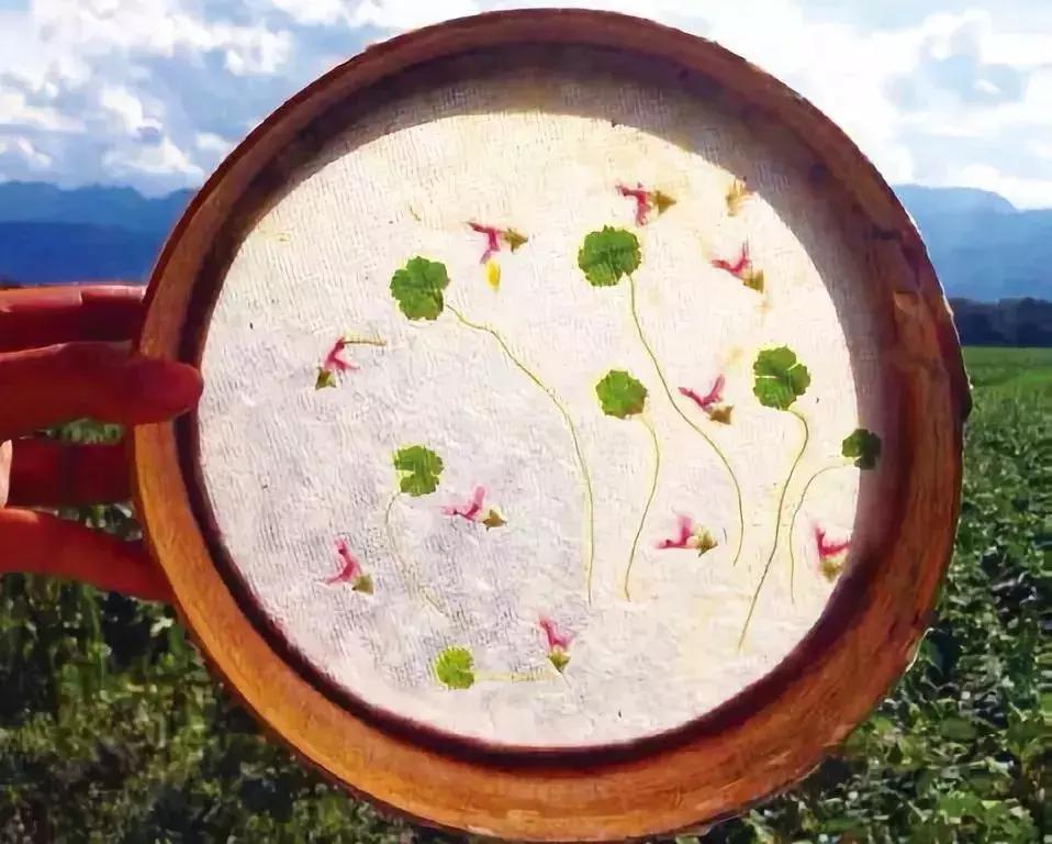 有问必答：腾冲到底哪里美？哪里能买到腾冲宣纸？