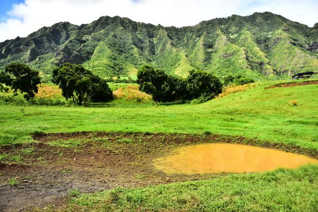 寻找侏罗纪世界中的火山岛，和“驯龙高手”一起拯救史前小短手！