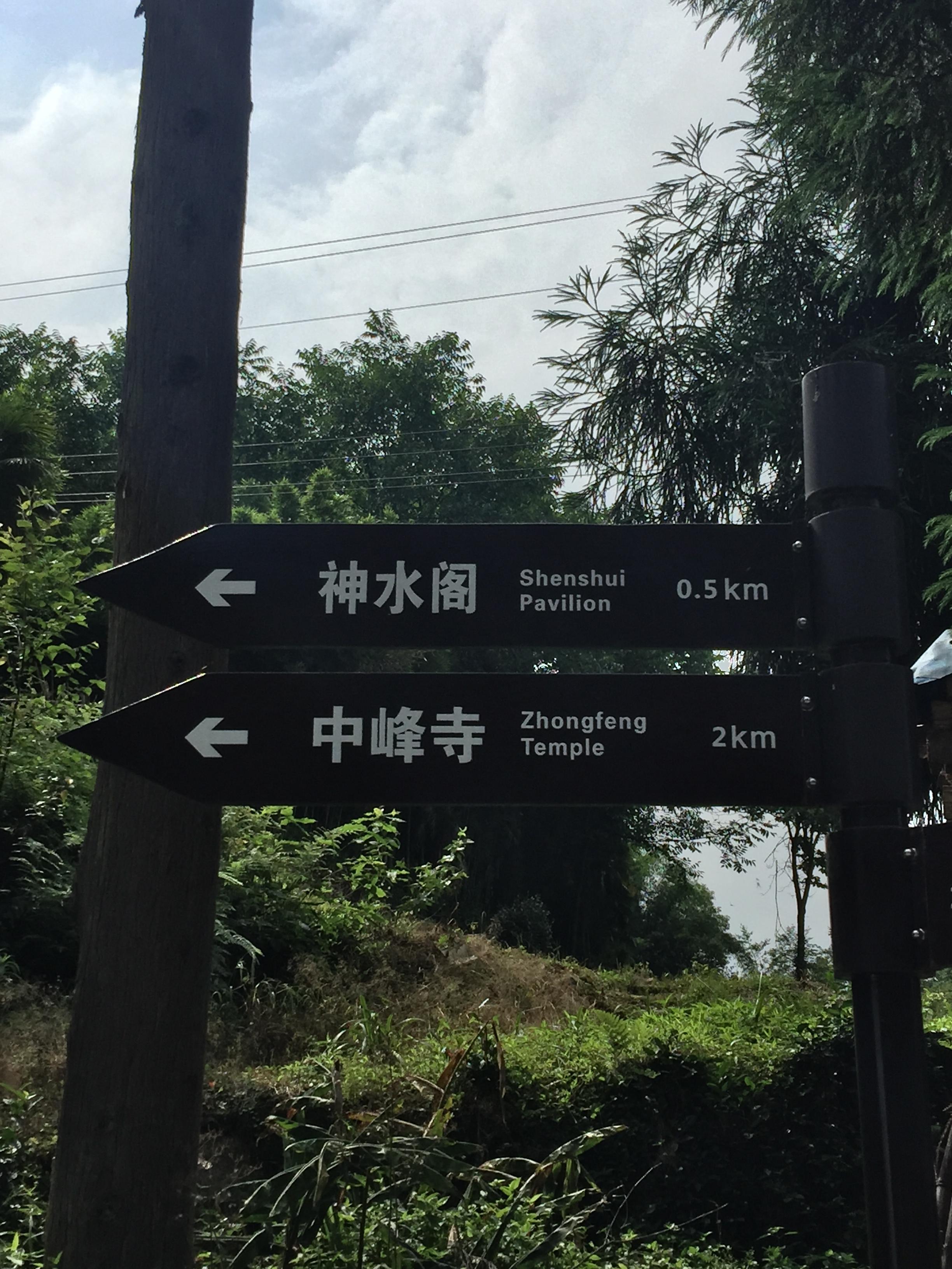 峨眉山登顶佛像,峨眉山登顶记完整版