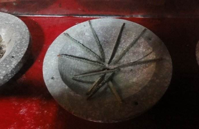 云南蛇蛊,云南虫谷的蛇蛊