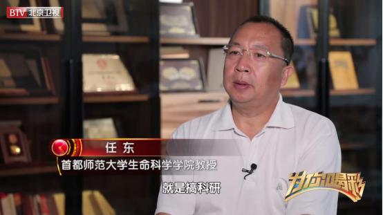 研究昆虫化石,探索昆虫的秘密研学方法和过程