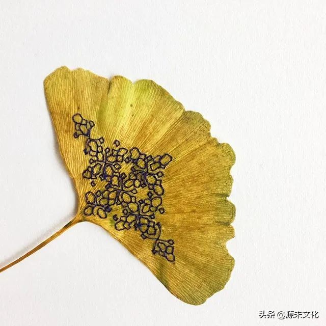 最失败的垃圾分类,目前常用的垃圾分类