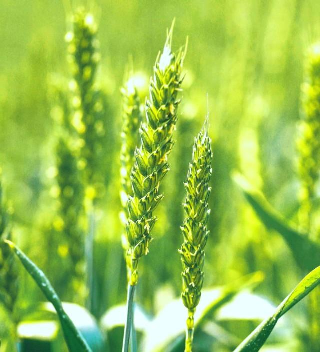 五行八卦与数字彩票奥秘,五行数字与彩票解说