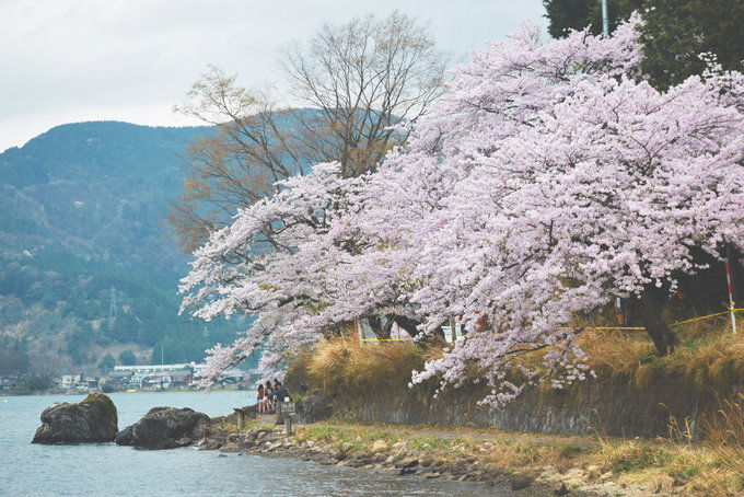 和大家一样去了大阪，但我不想随波逐流