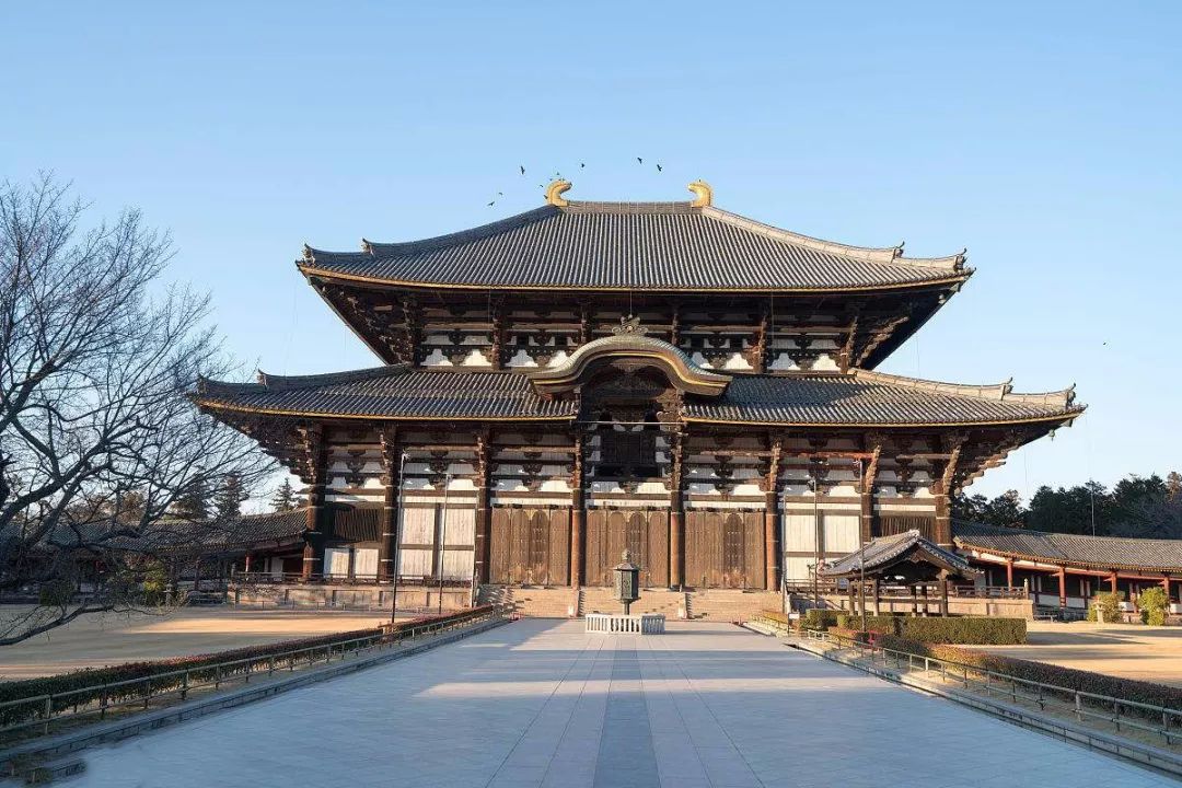 正仓院都是盛唐*物文**？事实是，95%是日本制