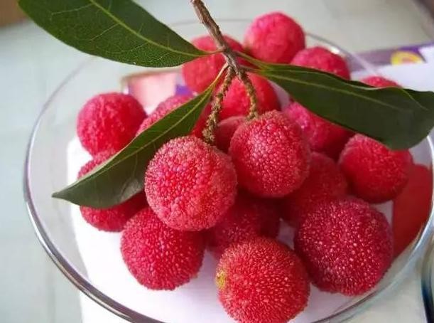 洗杨梅用面粉还是用盐,盐水泡杨梅虫子为什么会爬出来