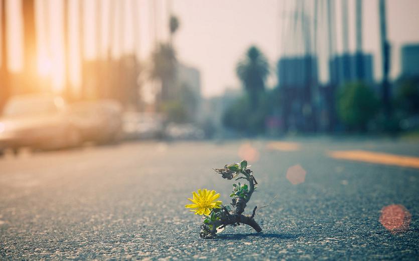 把别人的话放在心上,别人不把你放在眼里何必放在心上