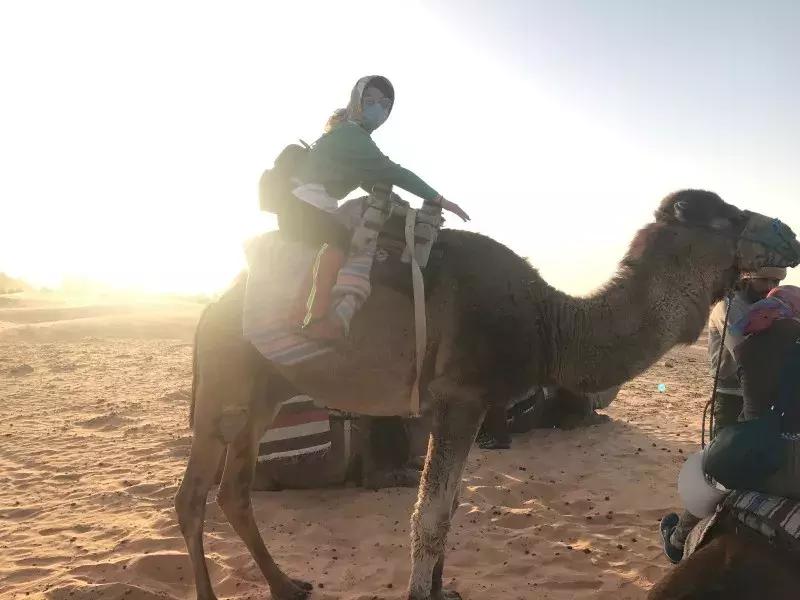 突尼斯是不是地中海,突尼斯一半沙漠