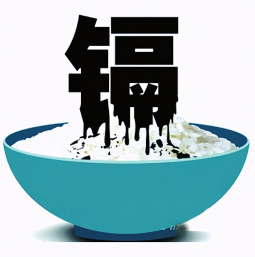 舌尖上的安全感悟,舌尖上的安全全册