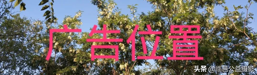 我爱摄影说说,我爱摄影教程