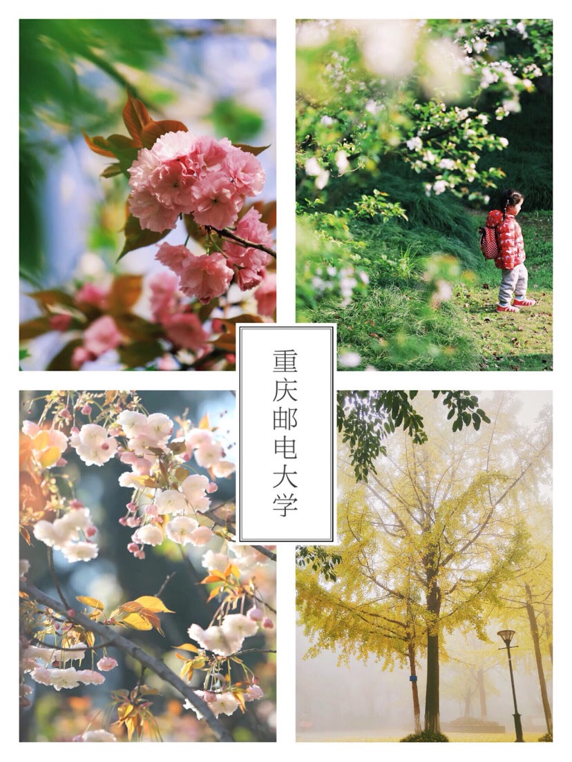 去重庆吃玩攻略,来到重庆去哪里玩