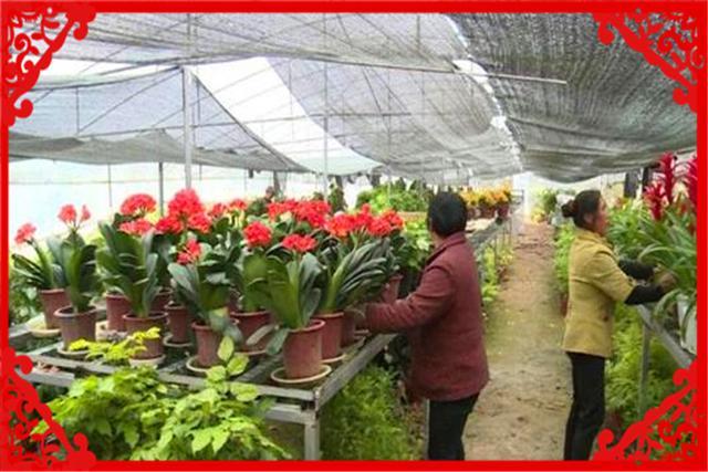 没资金没人脉农村做什么赚钱,农村有什么赚钱项目好做