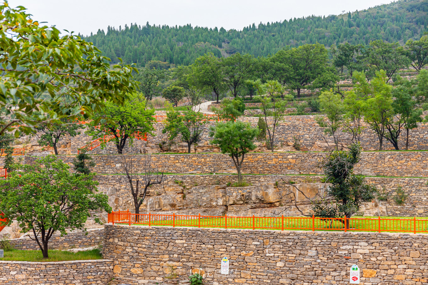 山东青州旅游攻略大全,山东青州旅游攻略夏天景点