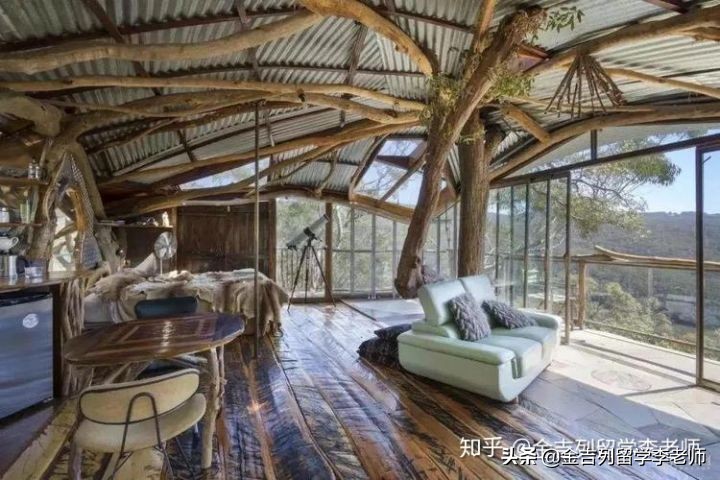 留学生常用的国内app,留学生手机必备app指南