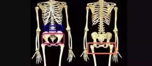 一个动作瘦假胯宽最快方法,一个动作怎样提臀消除假胯宽