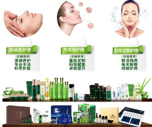 专于芦荟，精于芦荟！芭芭多践行长期主义打造增长新逻辑！