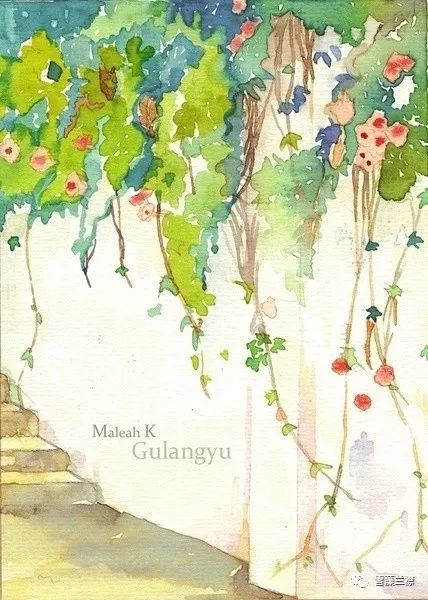 雪藻兰,雪藻兰独特作品