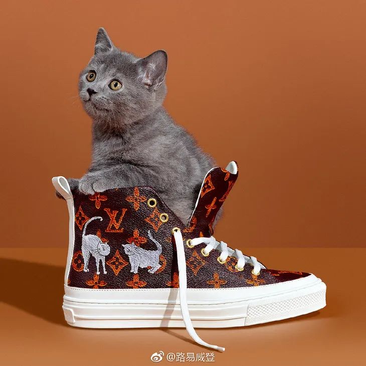 拜托了衣橱谢娜模仿陈乔恩,拜托了衣橱为什么没有第二季