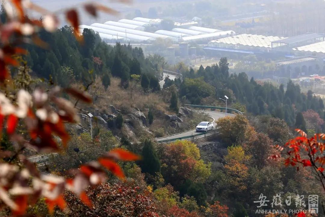 宿州夏天最美的风景在哪里,宿州观赏秋景