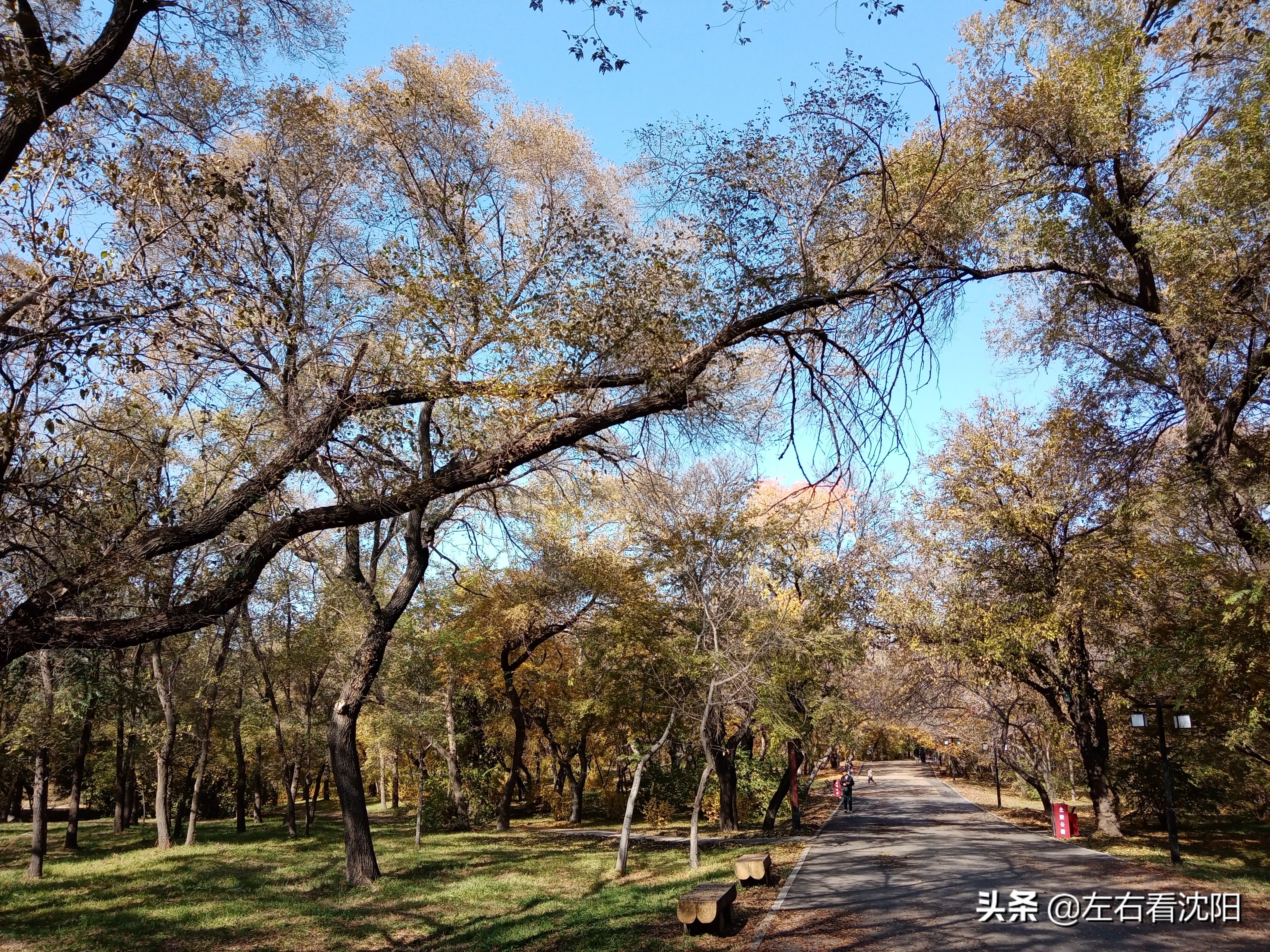 秋季沈阳北陵公园有啥好玩的,漫步沈阳北陵公园湖水边