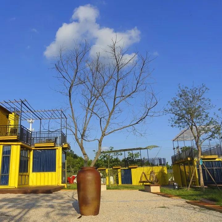 厦门夏令营走进大自然活动,厦门广电研学夏令营