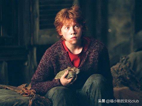 哈利波特电影中真实的动物演员,哈利波特里的动物演员