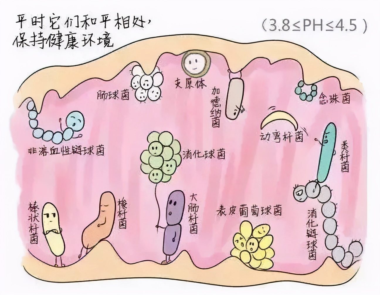 内裤穿一段时间就脏了怎么清洗,内裤脏脏的要几天干净