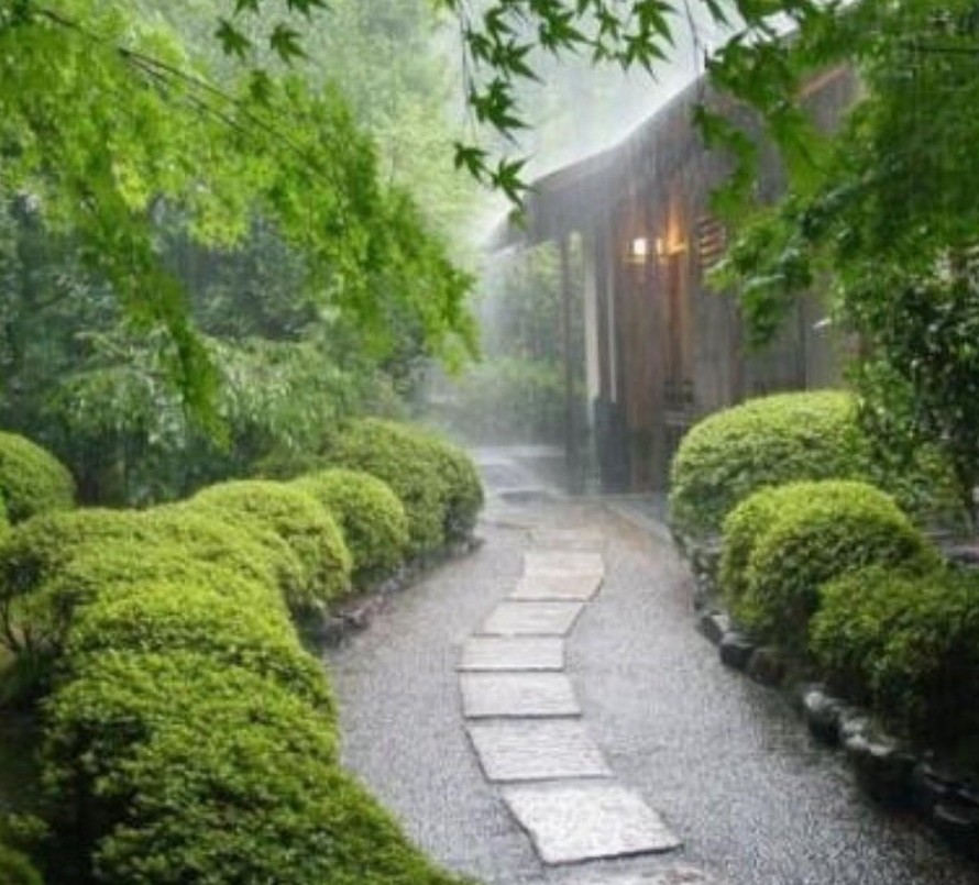 浜曞唸绾㈠鐪熷疄鐓х墖,浜曞唸绾㈠鏄摢閲屼汉