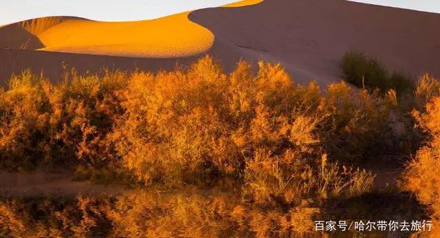 可怕的中毒韩国电影,可怕的中毒图片