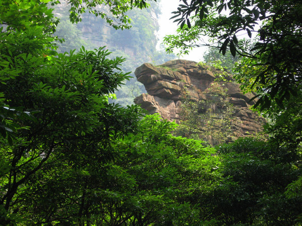 张家界天门山大自然鬼斧神工,到张家界天门山自由行攻略图片