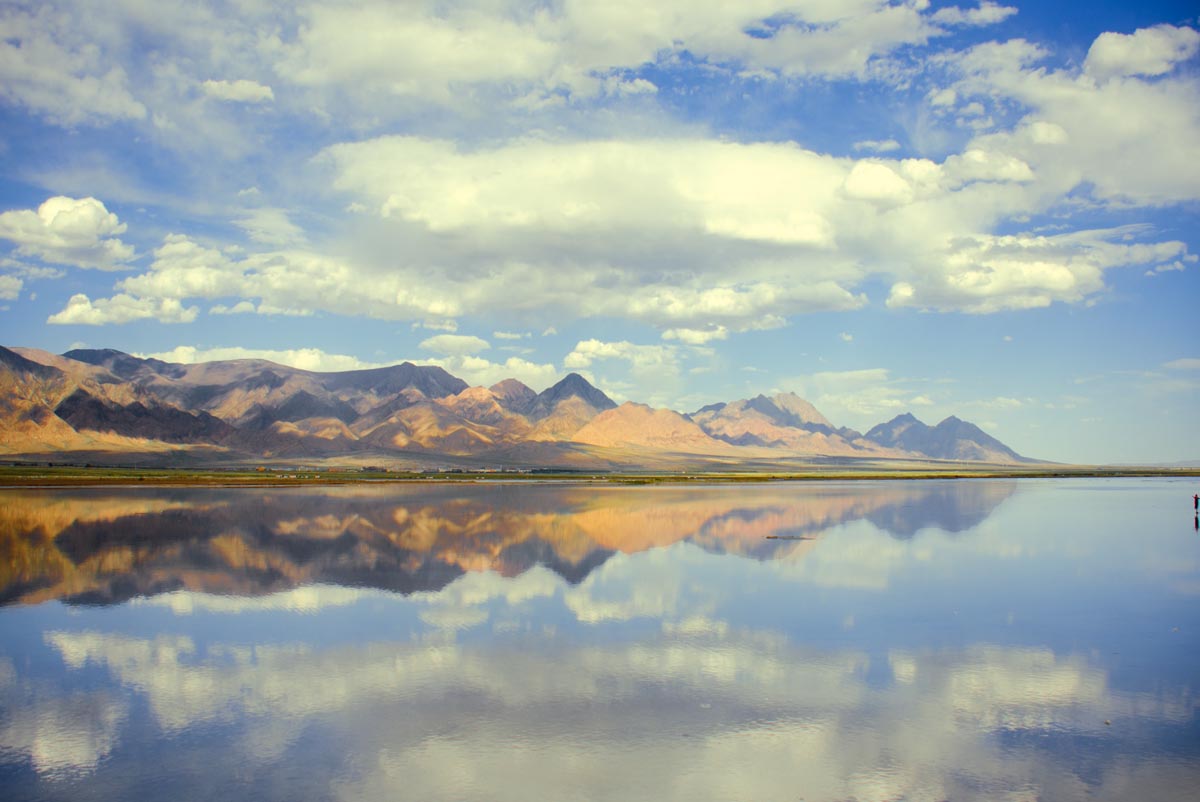 我的旅行日记之青海,我的旅行日记高原茶场