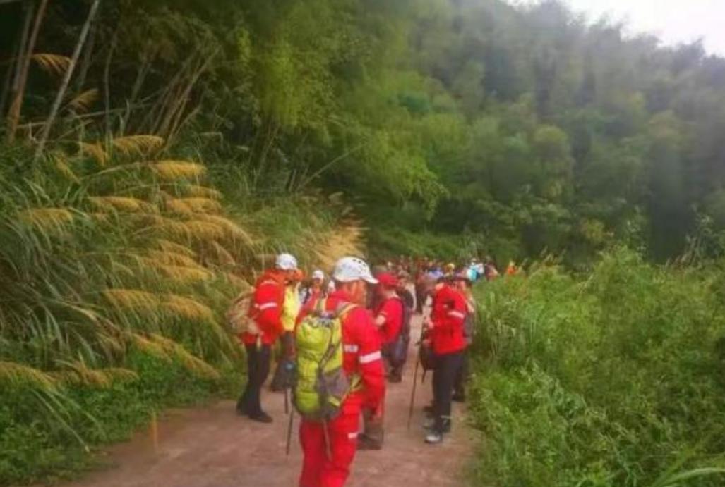 掏野生杀人蜂被蛰,一男子抓毒蜂泡酒死亡