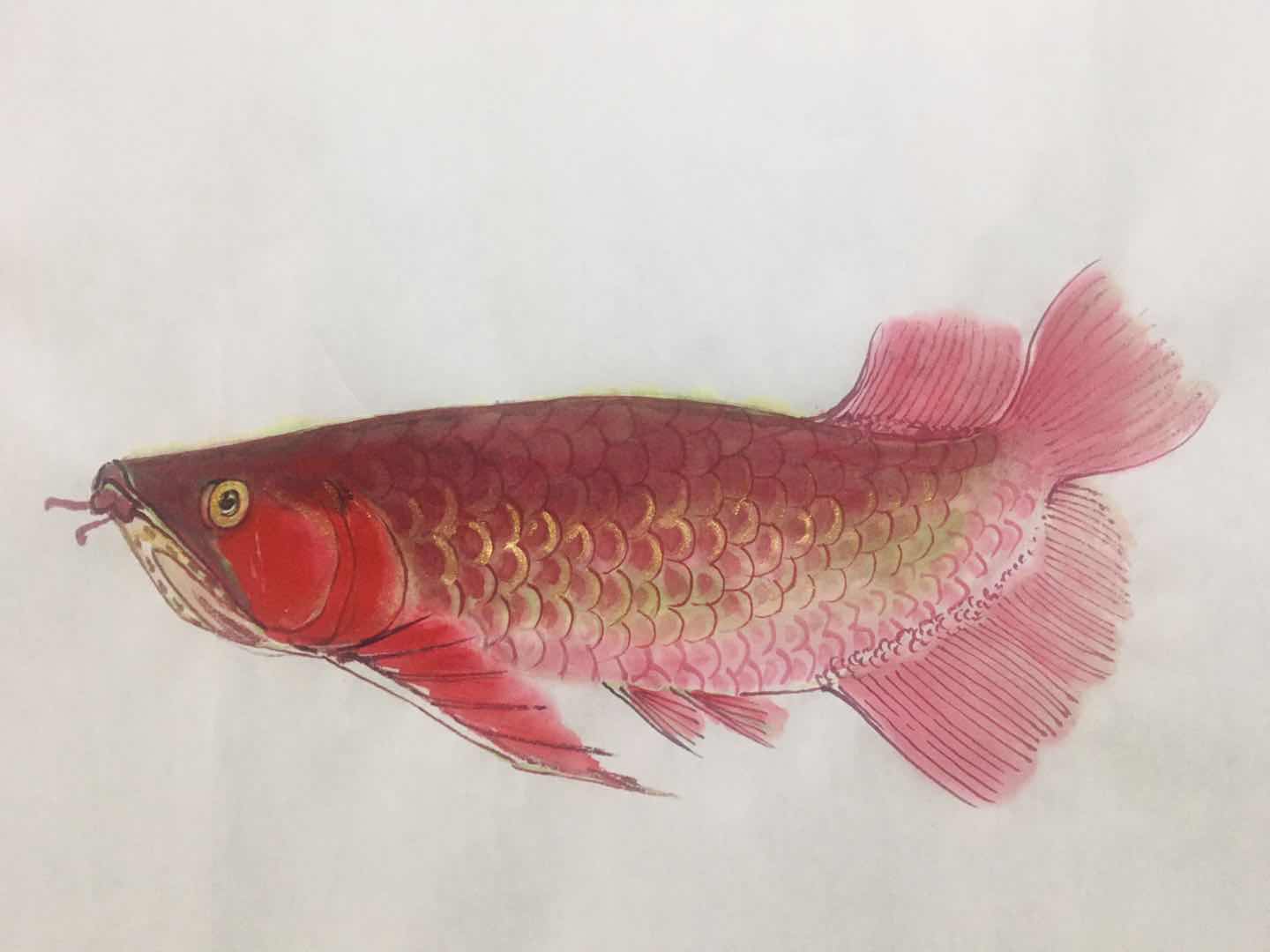 旅游公司招聘的带队有陷阱吗,旅游公司请人旅游的工作是什么