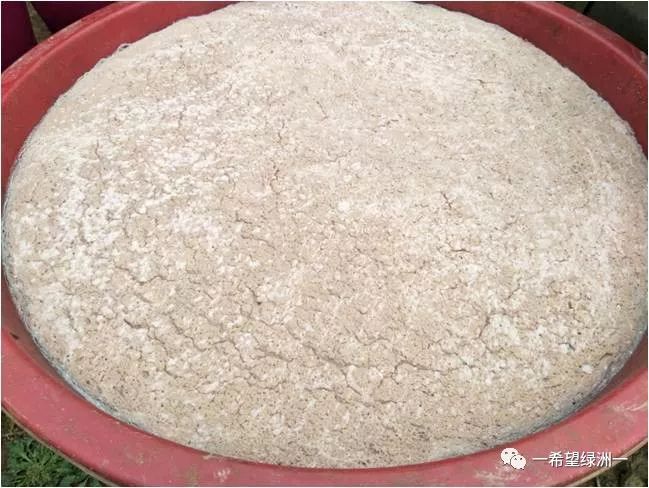 花生麸发酵无渣技术,花生麸无臭发酵方法要哪种红糖