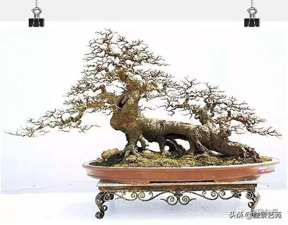 鏈存爲寰楀鐩嗘櫙,椤剁骇鏈存爲鐩嗘櫙娆h祻