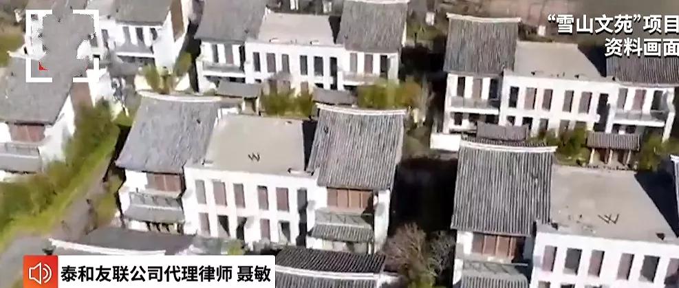 王菲刘涛背后的男人都是投资奇才，李亚鹏为四千万下跪，王珂破产