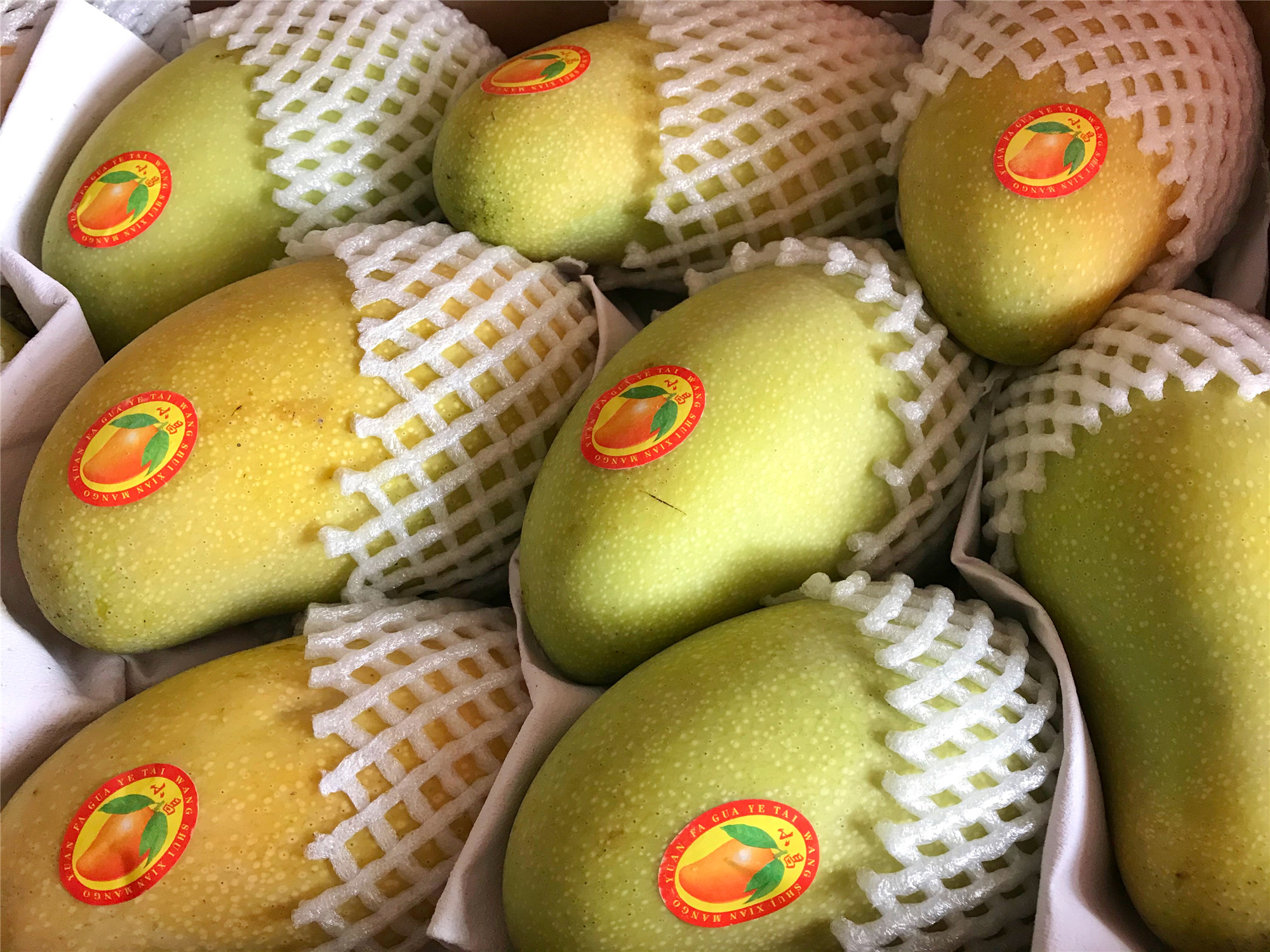 芒果挑选小指南,芒果要如何挑选