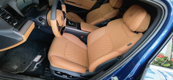 汉ev尊贵丹拿,汉ev5g丹拿版二手车