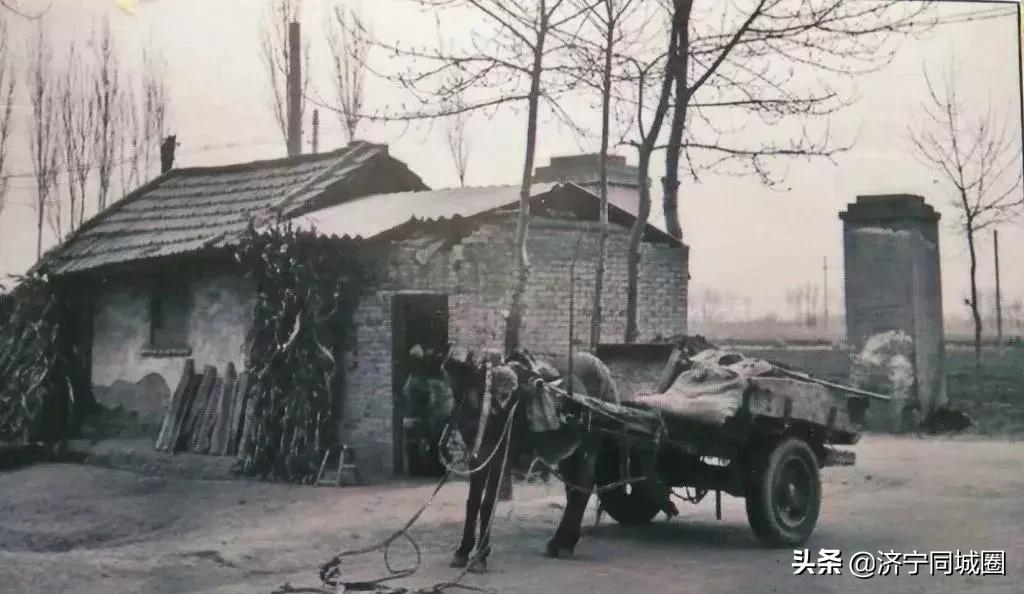 济宁黄屯属于哪里,济宁黄屯新消息
