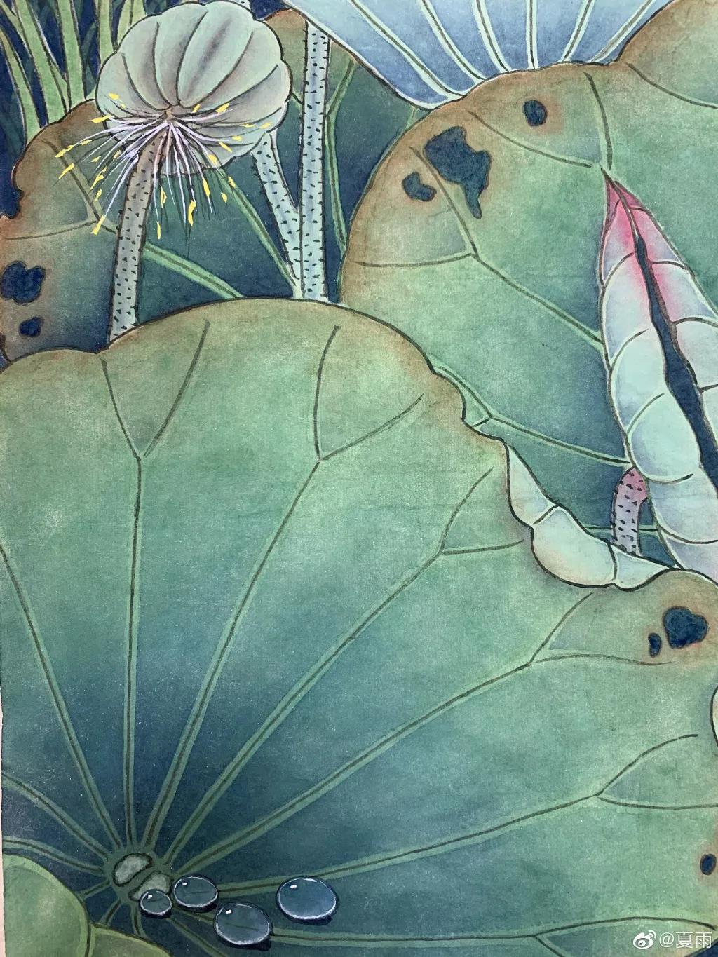 影帝夏雨书法真迹,演员夏雨晒书法作品