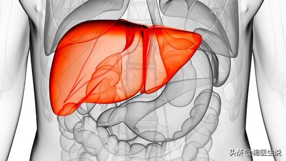 和乙肝患者一起吃饭会传染吗,与乙肝的人一起吃饭会感染吗