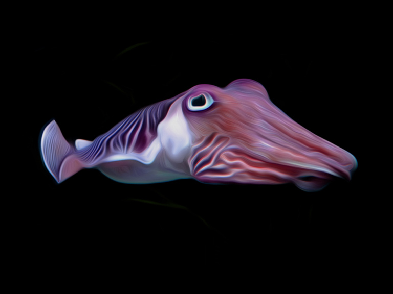 三个不可思议的外星生命新发现,有史以来最厉害的外星生物