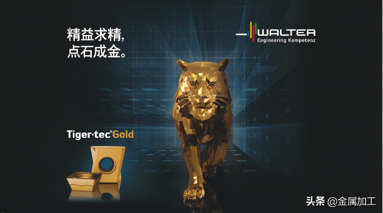 瓦尔特的改变和执着,瓦尔特重新踏上了他的旅程