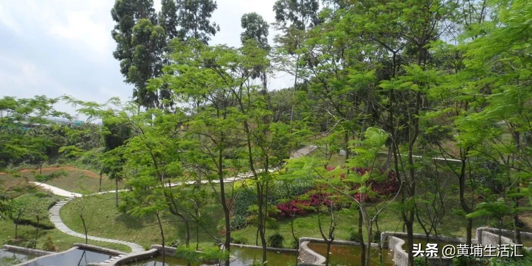 黄埔珠江嘉园,黄埔珠江嘉园未来发展