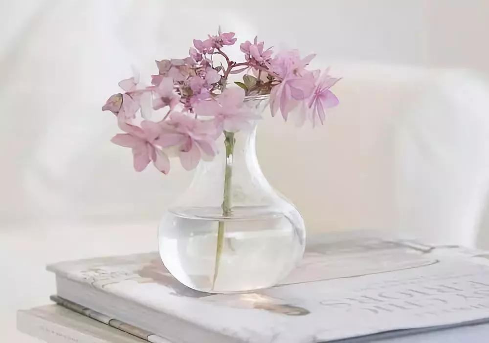 家庭风水布局最旺的方法,一个家庭的风水深度好文