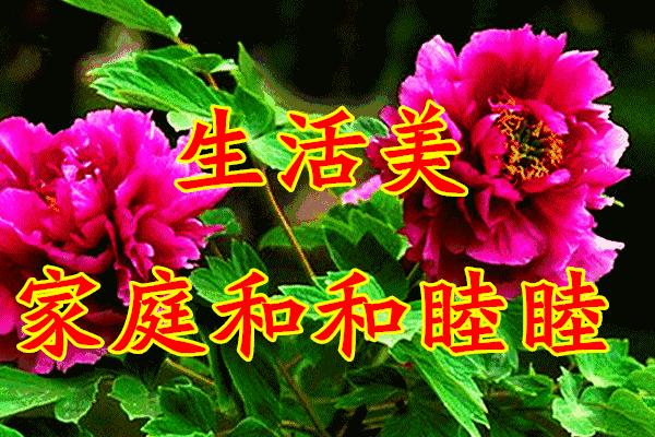 三八妇女节将至祝姐妹们节日快乐,三八妇女节提前祝女友们节日快乐