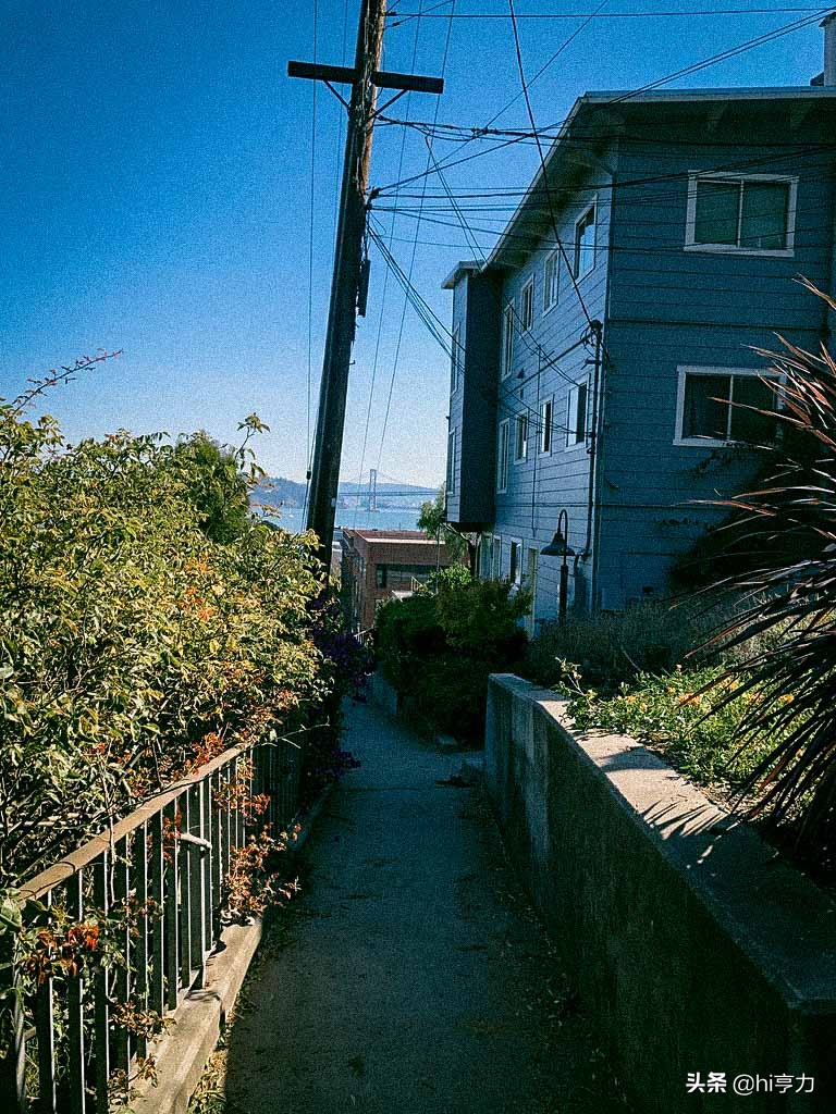 旧金山旅行指南,玩转旧金山