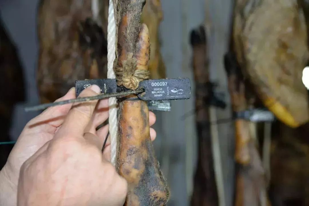 这次AsianFoodFestival汇聚亚洲食力，不止梁静茹给了杭州勇气