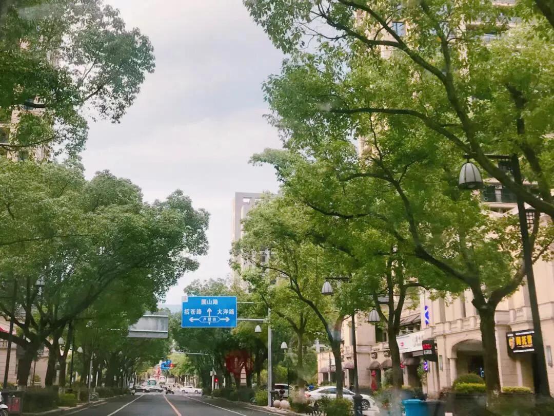 丽水市各个县房价排名,浙江丽水为什么房价高